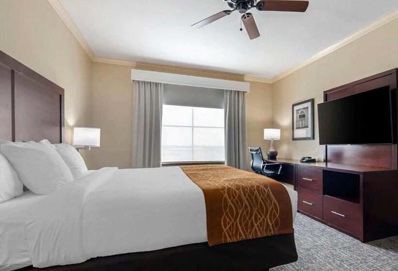 身障者適用キングサイズベッドルーム, Comfort Inn & Suites Fort Worth  Fossil Creek