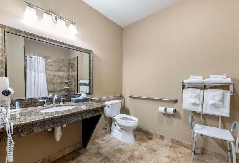 身障者適用スタンダードルーム, Comfort Inn & Suites Fort Worth  Fossil Creek