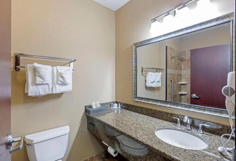 身障者適用スタンダードルーム, Comfort Inn & Suites Fort Worth  Fossil Creek
