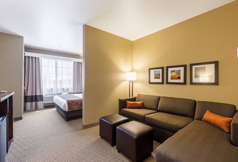 Люкс, Comfort Suites Burlington