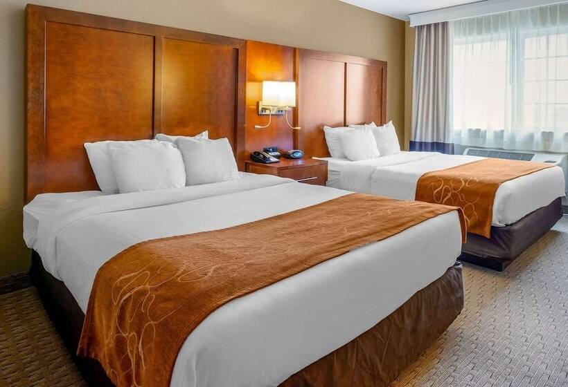Люкс, Comfort Suites Burlington