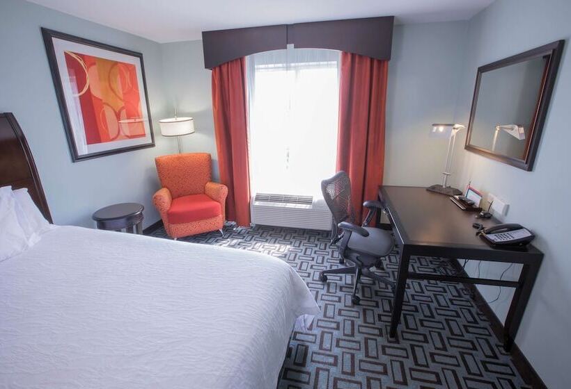 스탠다드 룸, Hilton Garden Inn Atlanta South/mcdonough