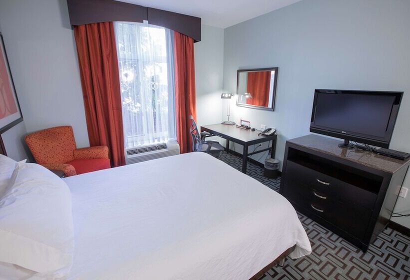장애인을 위한 스탠다드 룸, Hilton Garden Inn Atlanta South/mcdonough