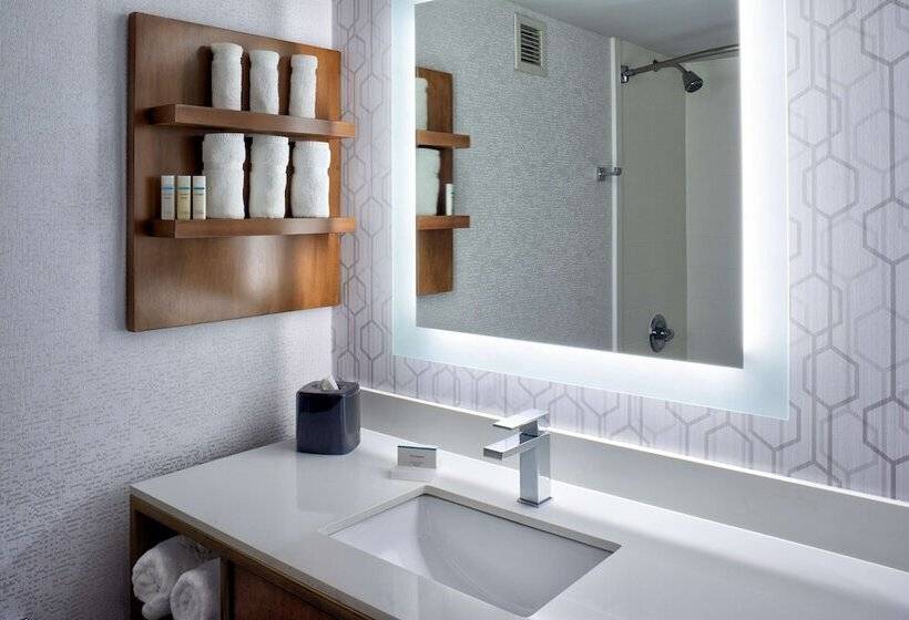 Номер Стандарт, Hilton Garden Inn Detroit Downtown