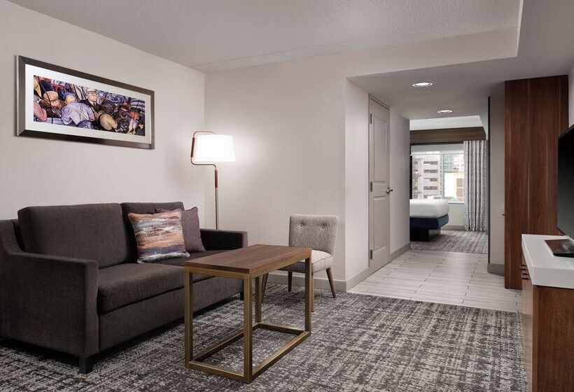 Júnior Suíte Cama King, Hilton Garden Inn Detroit Downtown
