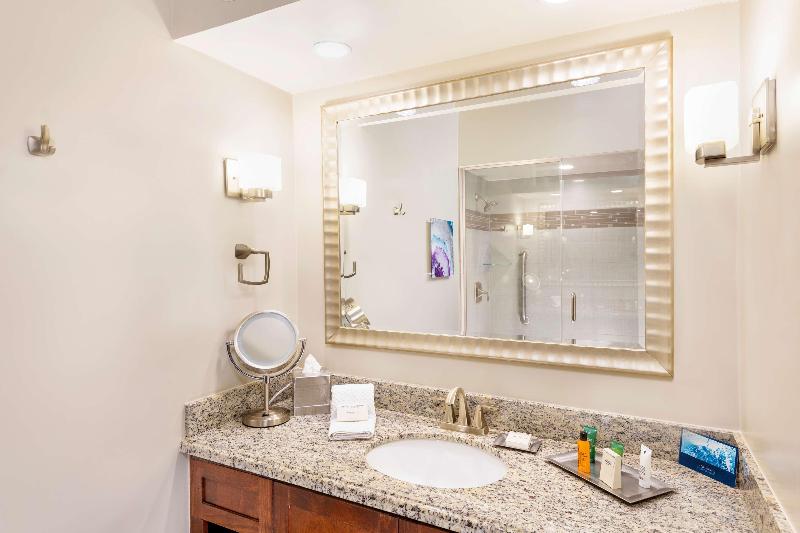 חדר סטנדרט מותאם לאדם עם מוגבלויות, Holiday Inn Express Tampa North Telecom Park, An Ihg