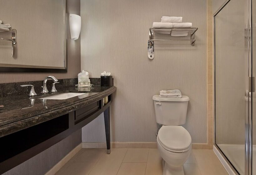 Номер Стандарт, Holiday Inn Jacksonville E 295 Baymeadows, An Ihg
