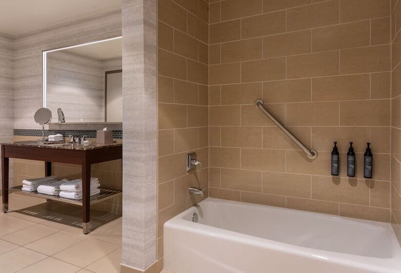 Номер Премиум Вид на Город, The Westin Book Cadillac Detroit