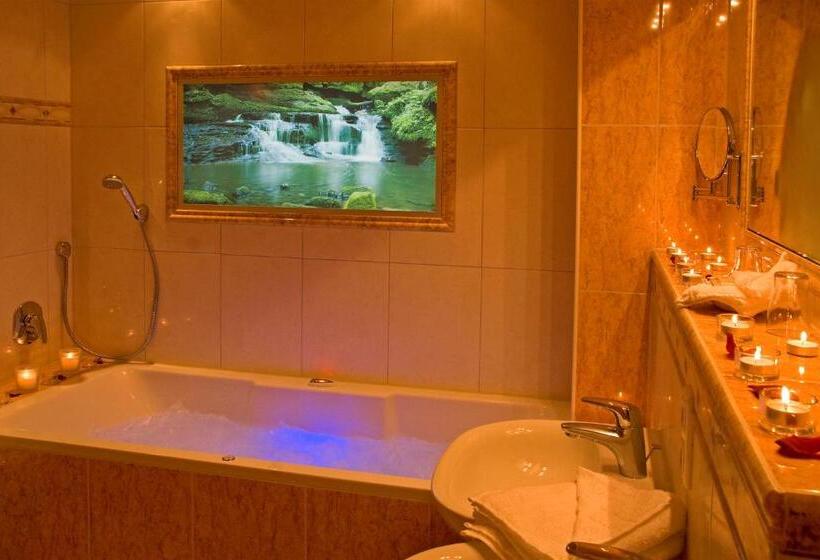 Полулюкс с Бассейном, Wellness & Landhotel Prinz  Wellness & Romantik