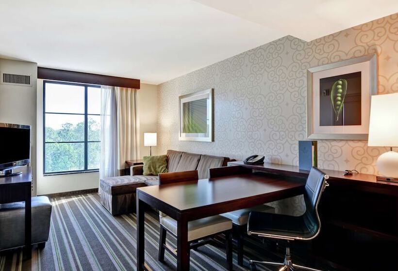 סוויטה מותאמת לאדם עם מוגבלויות, Embassy Suites By Hilton Savannah Airport