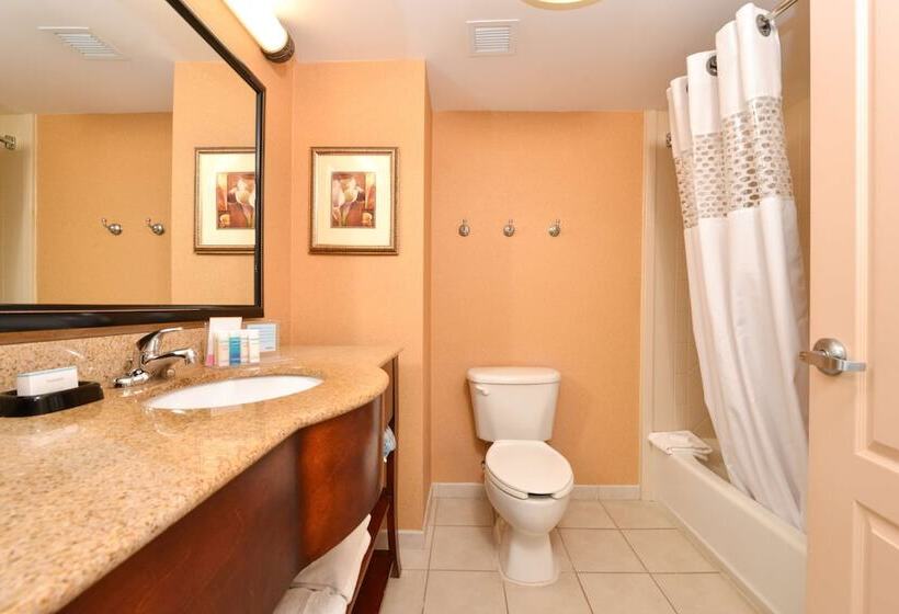 스탠다드 룸 더블 침대 2개, Hampton Inn & Suites Fredericksburg South