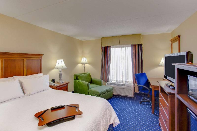 스탠다드 룸 킹사이즈 침대, Hampton Inn & Suites Fredericksburg South