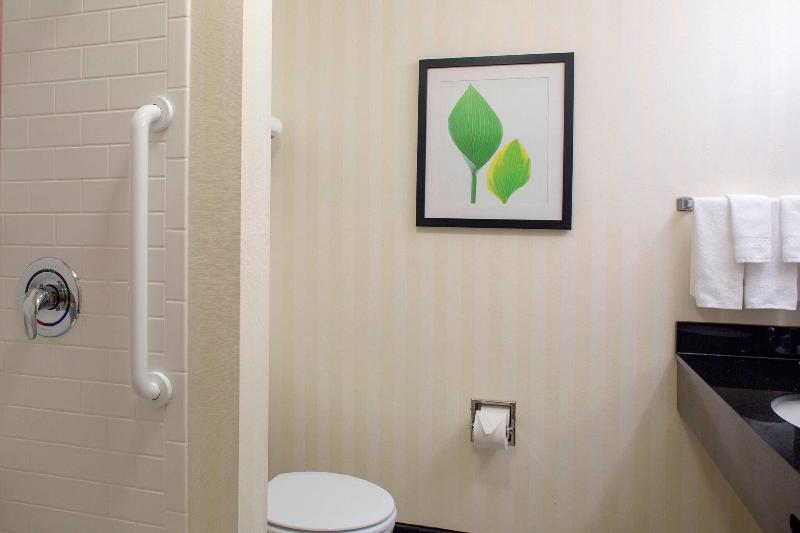 Standard Szoba King Size Bed, Hampton Inn & Suites Ft. Worth Burleson