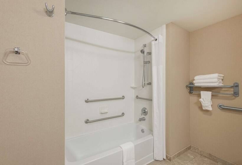 장애인을 위한 스탠다드 룸, Hampton Inn Branson  Branson Hills