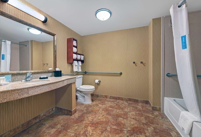 Номер Стандарт Адаптированный для Инвалидов, Hampton Inn Deming