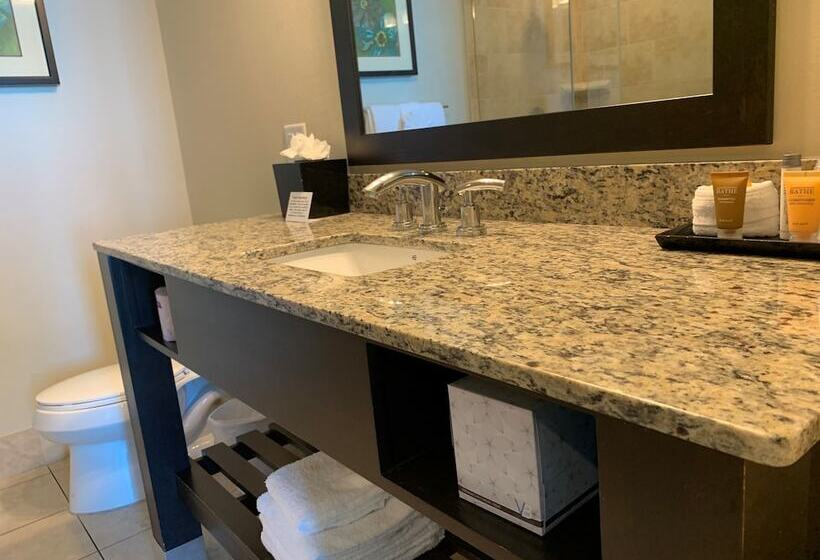 Люкс 2 Спальни, South Beach Biloxi Hotel & Suites
