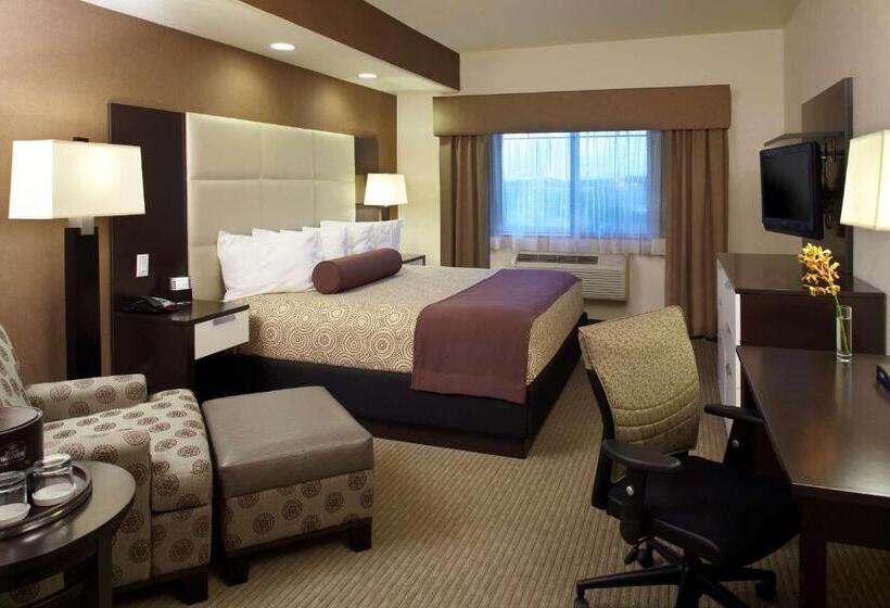 חדר דחוקס עם מיטת קינג, Best Western Plus Lackland Hotel And Suites