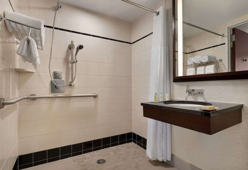 장애인을 위한 스탠다드 룸, Doubletree By Hilton New York Downtown