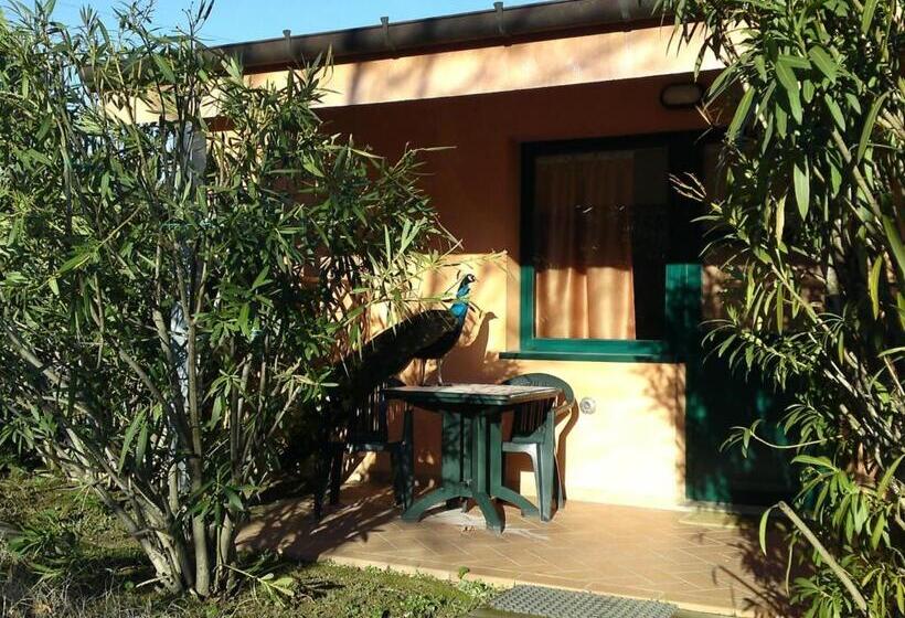 اتاق سوپریور, Garden Village San Marino