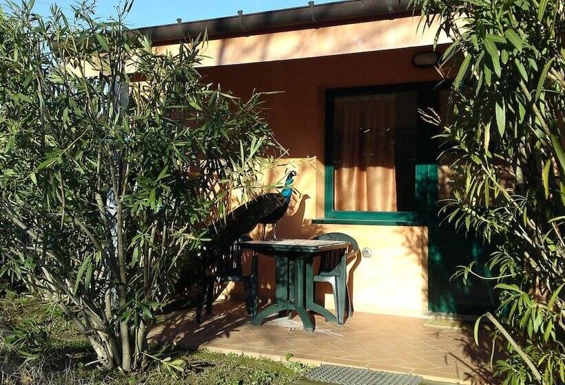 اتاق کلاسیک, Garden Village San Marino