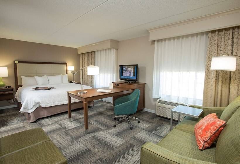 Студия Стандарт, Hampton Inn & Suites Cincinnati Union Center