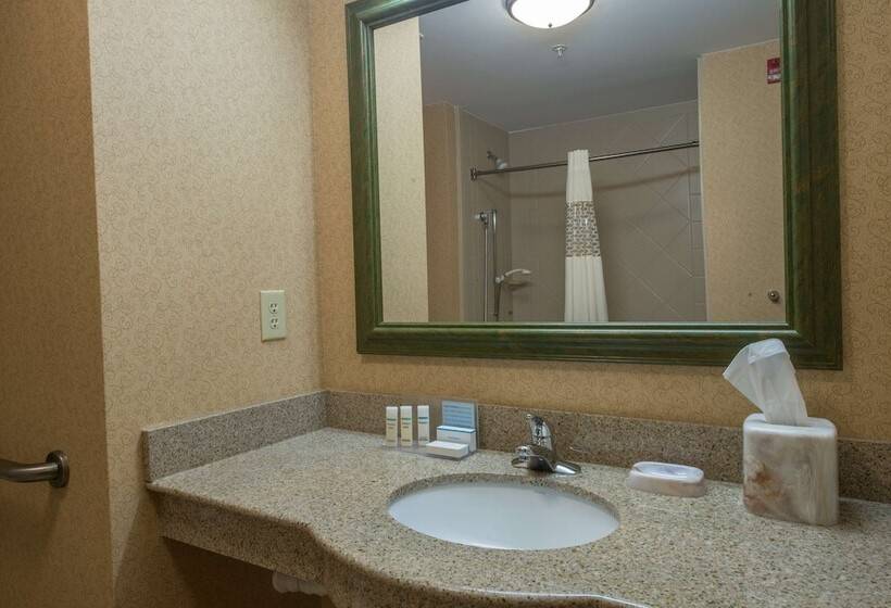 スタンダードルーム, Hampton Inn Easley