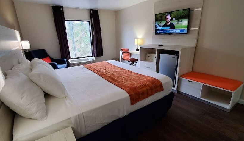 Quarto Estandar Cama Casal, The Paragon Of Golden Isles