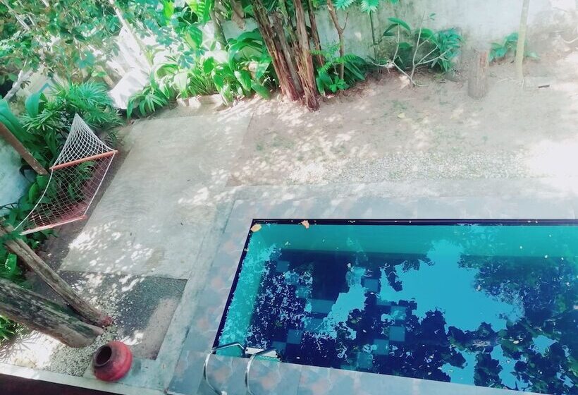 غرفة ديلوكس مطلة على حمام السباحة, Comfort Guest House