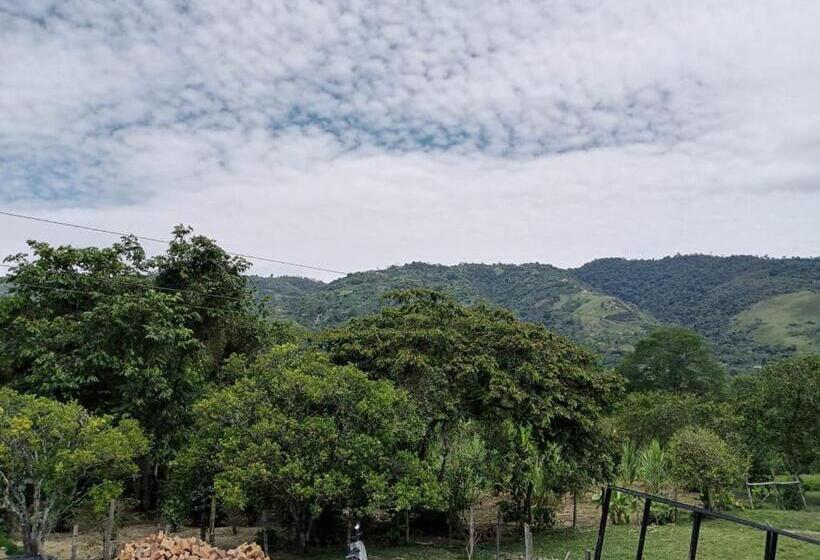 샬레, Yamboró