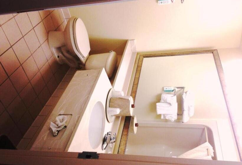 套房, Comfort Inn & Suites Ft.jackson Maingate