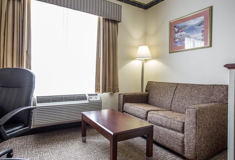 套房, Comfort Inn & Suites Ft.jackson Maingate