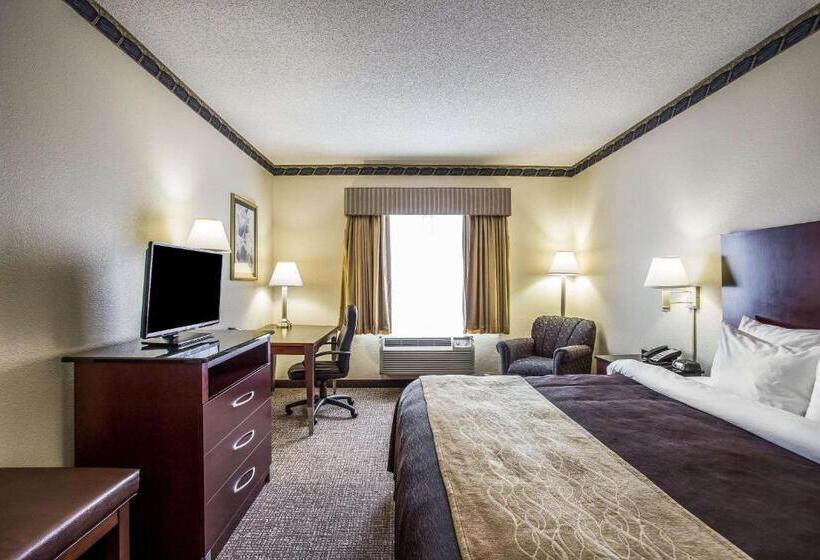 带大床的标准间, Comfort Inn & Suites Ft.jackson Maingate