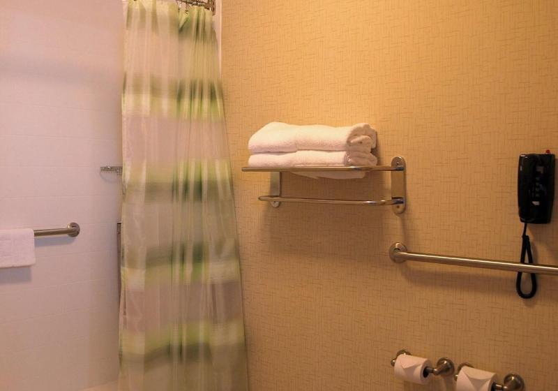 带大床的标准工作室, Springhill Suites Pigeon Forge