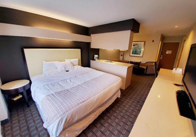 带大床的标准工作室, Springhill Suites Pigeon Forge