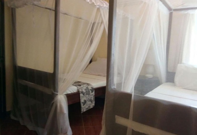 اتاق سوپریور با چشم‌انداز دریا, Coral Beach Resort