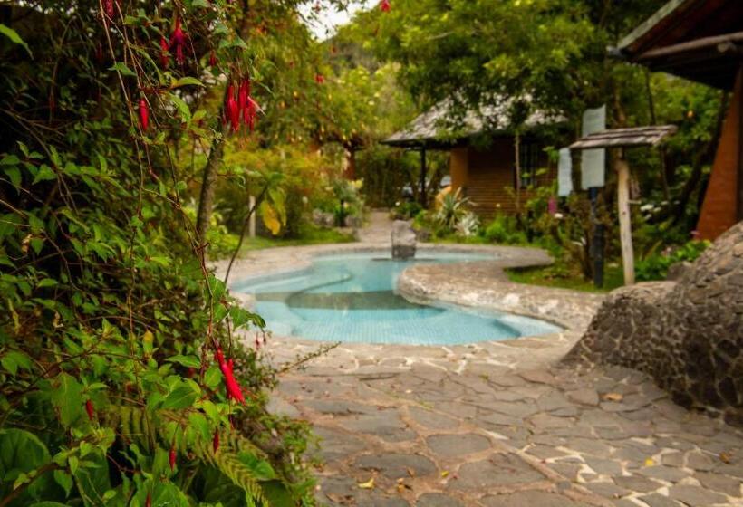Бунгало Стандарт, Termas De Papallacta