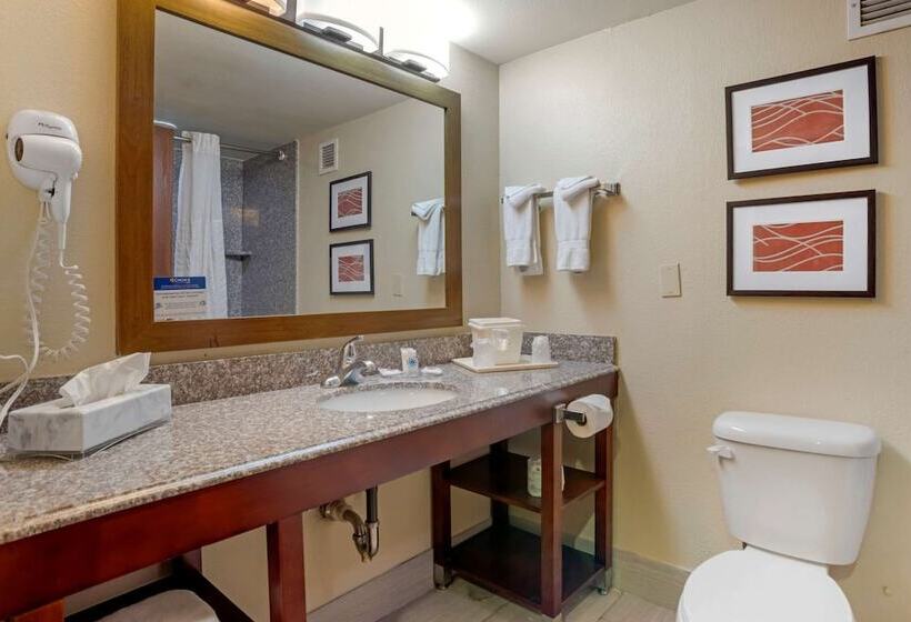 스탠다드 룸, Comfort Inn University Area