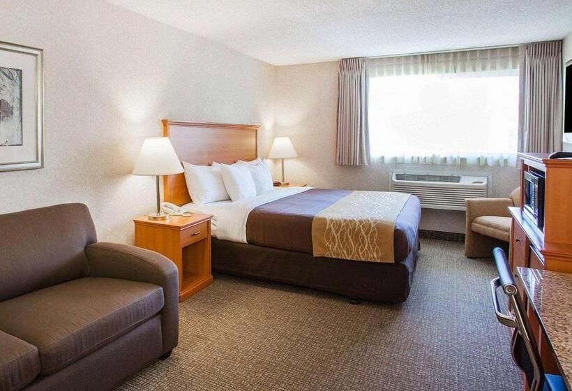 キングサイズベッドのスタンダードルーム, Quality Inn Kirkland