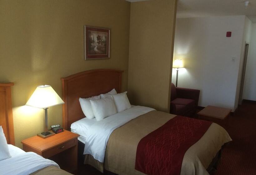 Люкс, Comfort Inn & Suites Chesapeake  Portsmouth