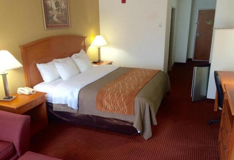 Стандартный Номер Кровать Кинг, Comfort Inn & Suites Chesapeake  Portsmouth