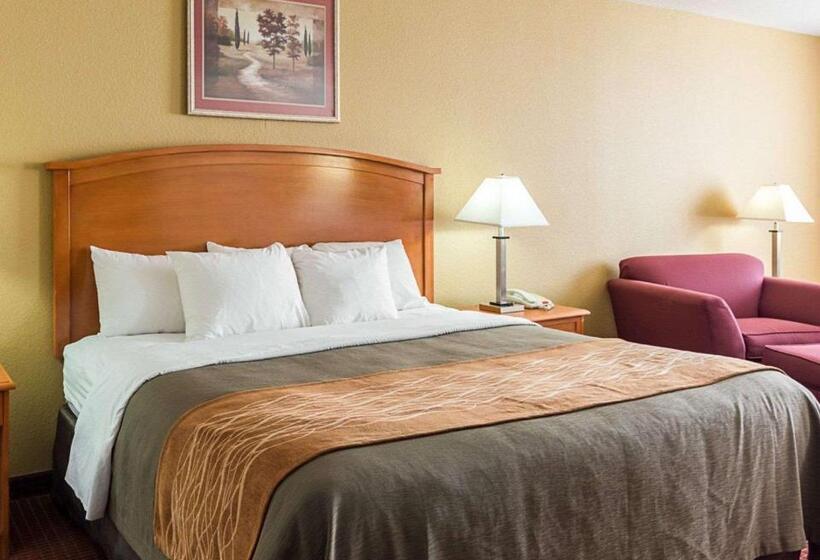 Люкс Кровать Кинг, Comfort Inn & Suites Chesapeake  Portsmouth