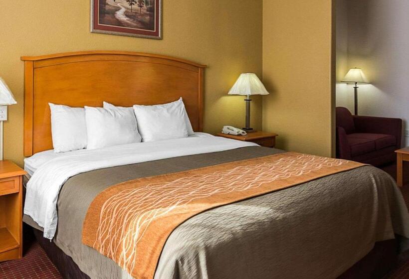 Люкс Кровать Кинг, Comfort Inn & Suites Chesapeake  Portsmouth