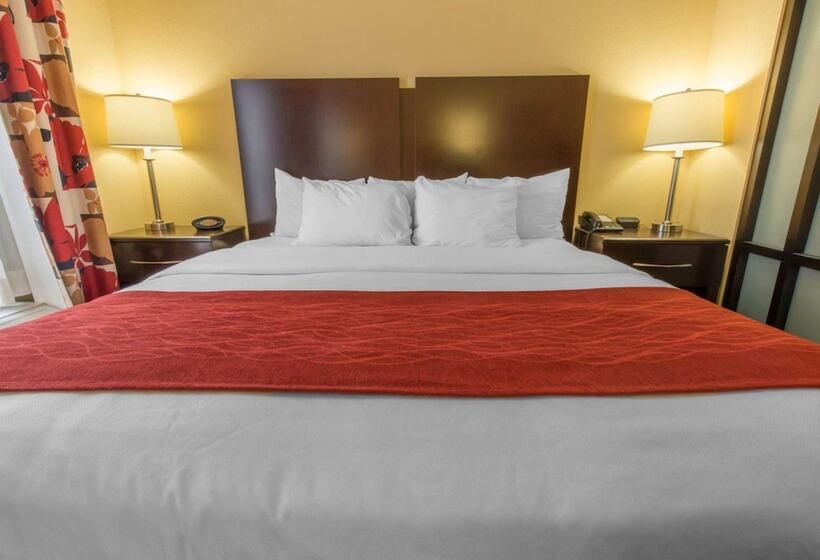 Люкс, Comfort Suites Altoona