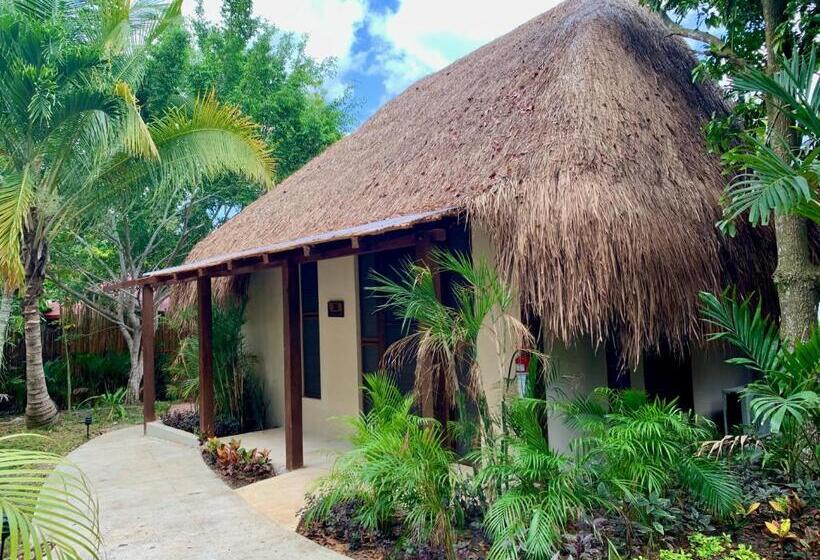 スタンダードバンガロー, Rancho Encantado