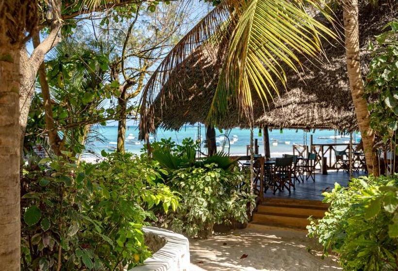 Номер Deluxe Вид на Море с Балконом, Hebe Bungalows Lodge