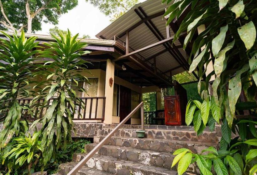 带大床的标准间, Heliconia Island
