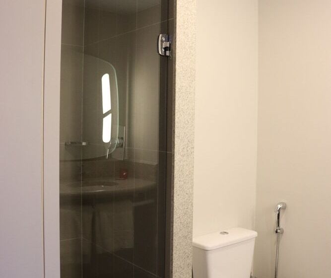Апартаменты 1 Спальня, Ibis Guaxupe