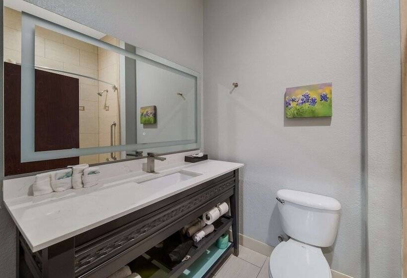 Номер Стандарт 2 Двуспальные Кровати, Best Western Bowie Inn & Suites