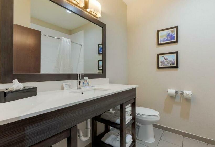 スイート, Comfort Inn & Suites Balch Springs  Se Dallas