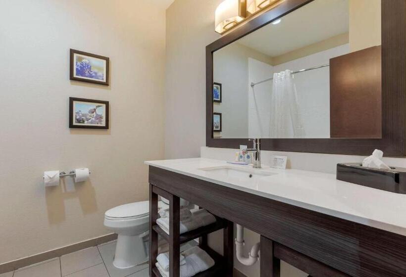 スイート, Comfort Inn & Suites Balch Springs  Se Dallas